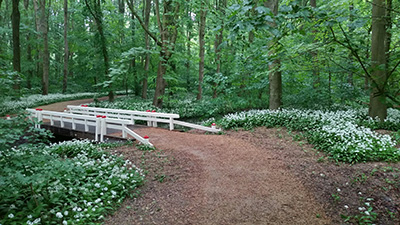 Mind Walk zijn meditatieve wandelingen in de natuur, mindful wandelen Mind Walk zijn meditatieve wandelingen in de natuur, mindful wandelen