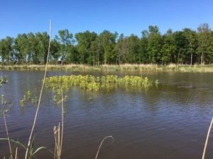 Uniek-Yoga-Sylvia-Kooijman-Stiltewandeling Stiltewandeling