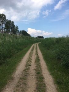 Uniek-Yoga-Sylvia-Kooijman-Workshops